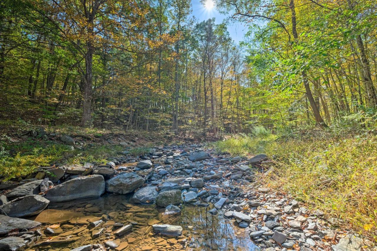 Catskill Mtn Home With Deck About 1 Miles To Zoom Flume! East Durham Eksteriør billede