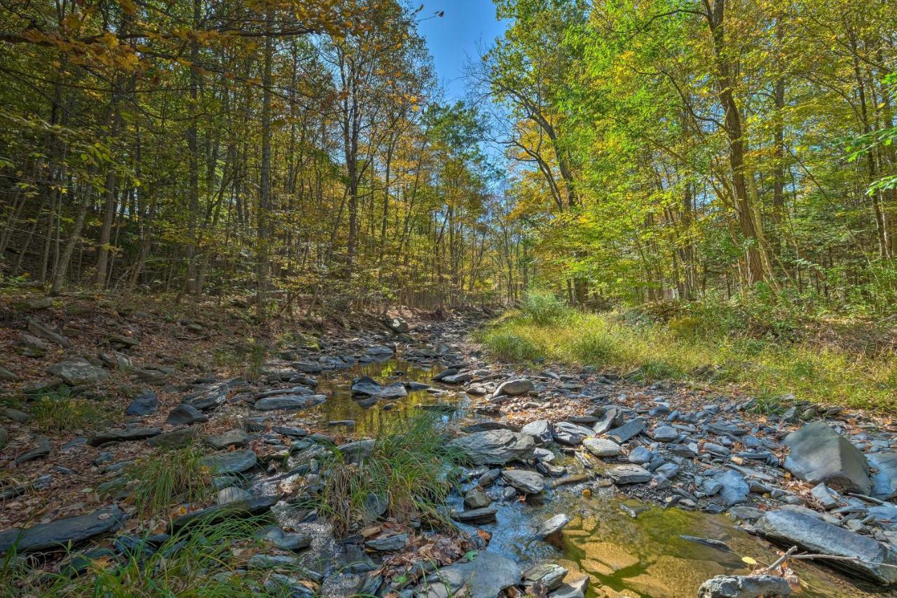 Catskill Mtn Home With Deck About 1 Miles To Zoom Flume! East Durham Eksteriør billede